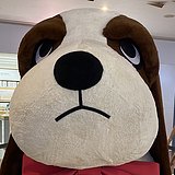 若无影风的头像