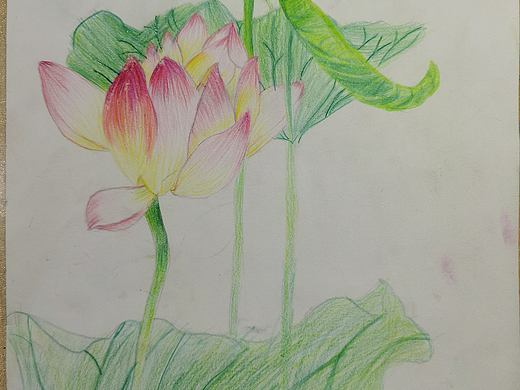 每每每同同周一一一画画画画