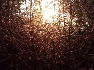 《太阳落下的一刹那。。。很美》