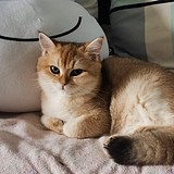 liuli_Nick的头像