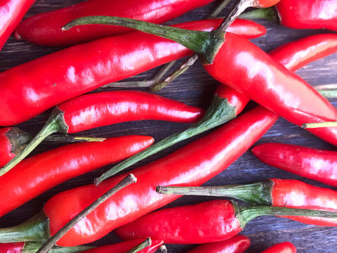辣椒🌶️