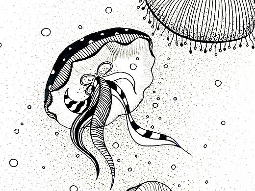 水母