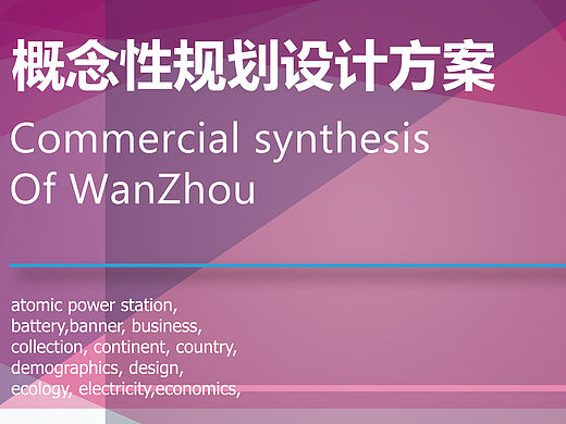 项目方案