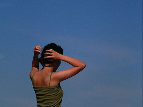 布鲁斯特的夏日