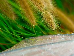 夏末…雨绵绵…