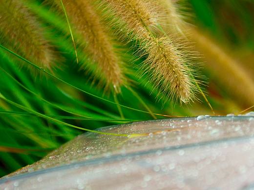 夏末…雨绵绵…