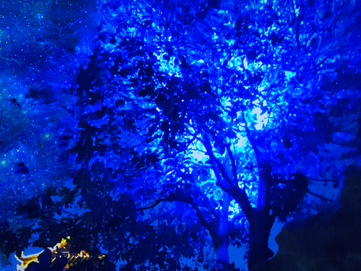 蓝色幻境（个人主页-ZNTUxMjQyNjA=） - 修图/后期 - 站酷设计师法尔艾维尔原创素材 - 站酷ZCOOL