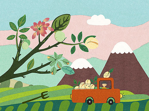 《中粮》包装体验设计