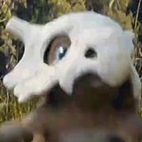 MoNan33的头像