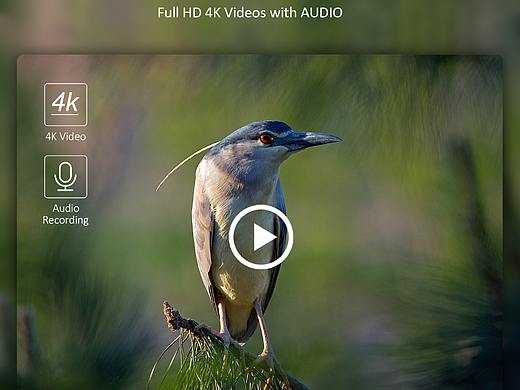 亚马逊相机练习