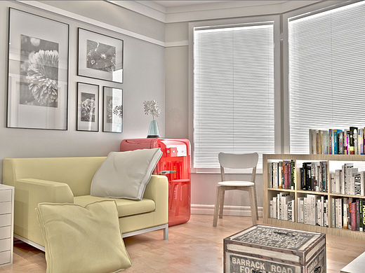 一只单身狗的野望