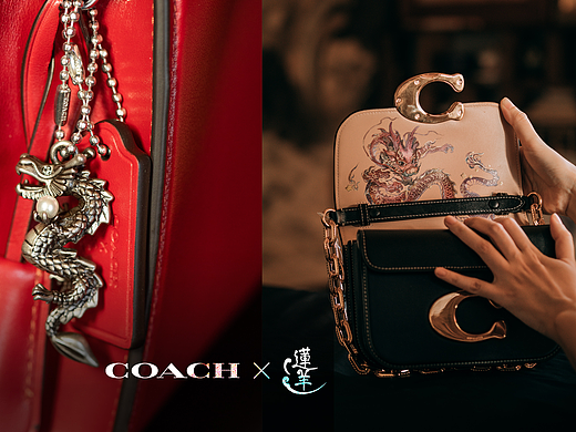 【COACH&莲羊】用粉碧玺为你打造龙年战袍!