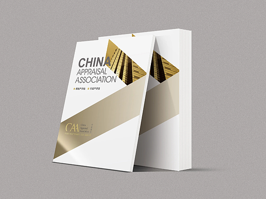 金融畫冊（個人主頁-ZNjUyNDg5OTY=） - 書籍/畫冊 - 站酷設(shè)計師Younglay原創(chuàng)素材 - 站酷ZCOOL