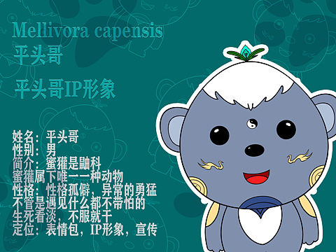 平头哥原创插画 ip形象设计