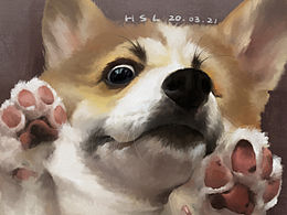 我的動(dòng)物系列1