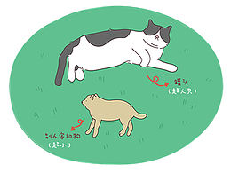 《罐頭的故事》