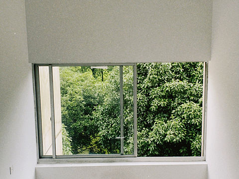 校园一角（10）