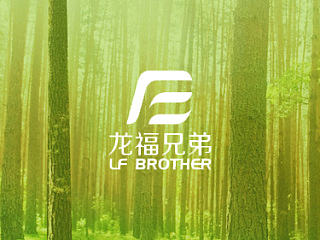龙福兄弟LOGO设计