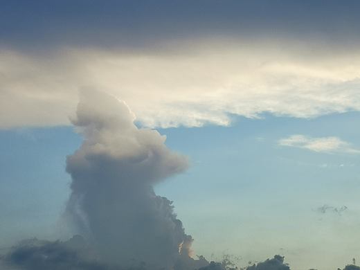 景