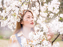 人面樱花相映红