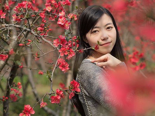 花の容颜