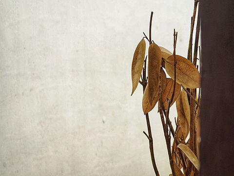 小城景点之徽派建筑[z加油]（个人主页-ZMzA2NzI3NjQ=） - 人文/纪实摄影 - 站酷设计师打砸砸原创素材 - 站酷ZCOOL