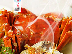 阳澄湖大闸蟹（个人主页-ZMTg3MzAxNTY=） - 宣传物料 - 站酷设计师学习的熙儿原创素材 - 站酷ZCOOL