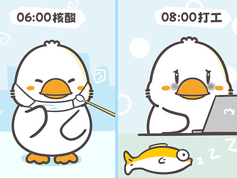 鸡鸭鹅的小日常