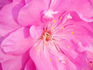 动人的风景永远在路上,别赶路,去感受路