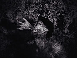 19歲的怪人｜ NIKO EDWARDS