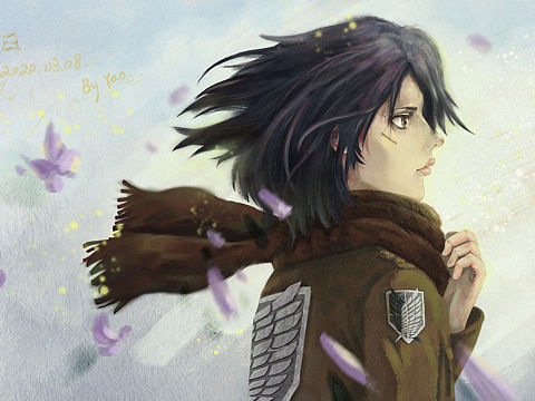 三笠mikasa