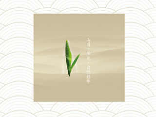 企业画册设计