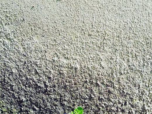 诉说着阳光里的自由吧