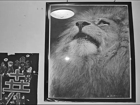 超写实黑白动物素描手绘