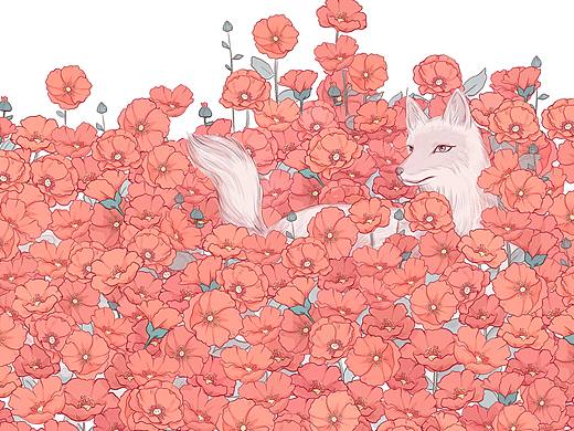 花海狐狸
