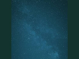 山树与星月