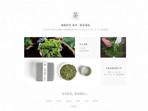 龙井茶首页设计