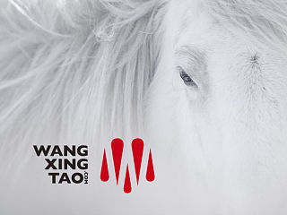 王兴洮图形与字体研究所新品牌发布