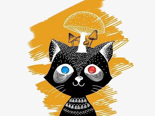猫儿们