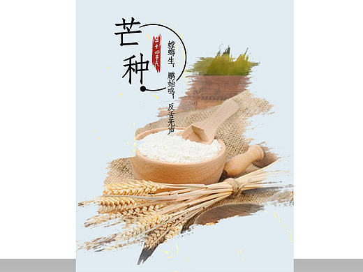芒种