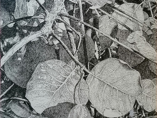 钢笔画《树丛》