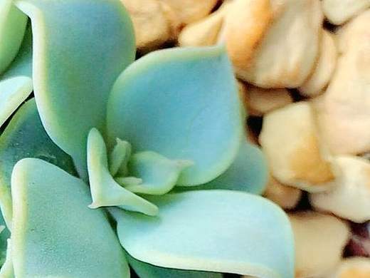 色（个人主页-ZMjAxNDcxNjQ=） - 产品摄影 - 站酷设计师斑点老马原创素材 - 站酷ZCOOL