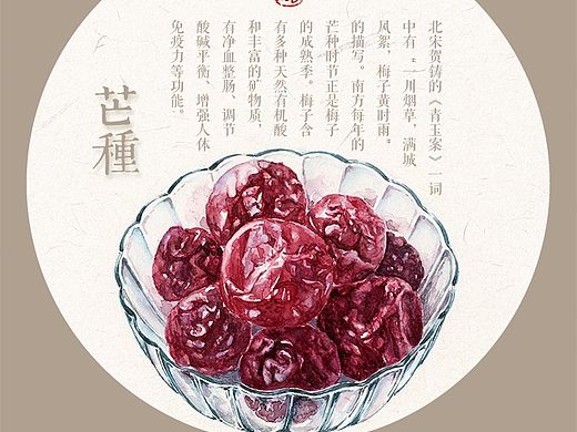 24节气之食趣系列——芒种