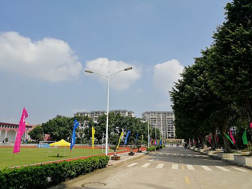 风景