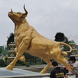 Z16684062的头像