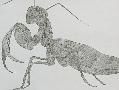 全部8张合照 呼啦啦