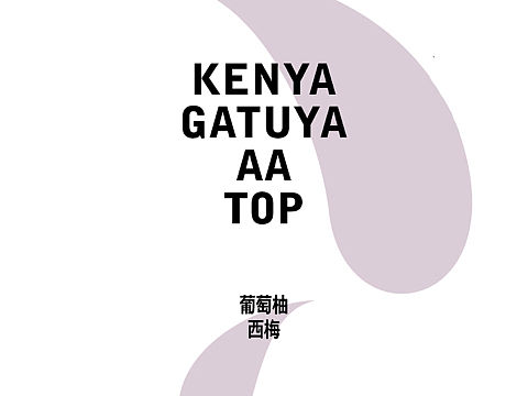 少数派咖啡 品鉴指南 二