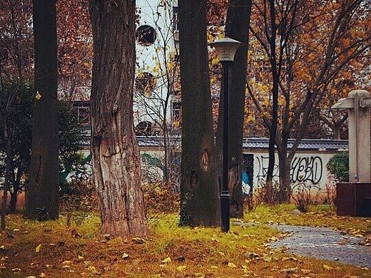 instgram摄影图片