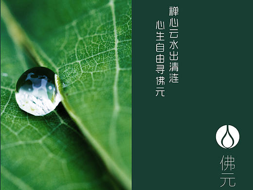 佛元 小米 包装