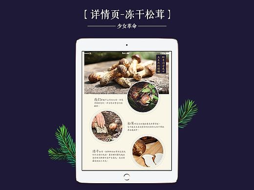 淘宝详情页设计/云南美食特产/食品/中国风描述页/美食/菌菇/牛肝菌/松茸/松露